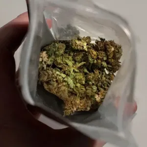 11名法国人泰国涉毒被捕，有人称根本不知道箱内藏大麻