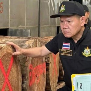 中国投资者租赁场所被查，泰国调查木材加工及出口问题