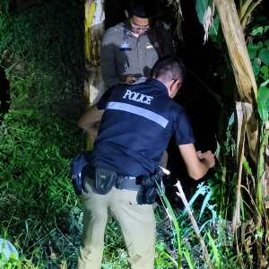 逃过警方搜捕却没逃过“电线”，泰国男子倒毙香蕉林