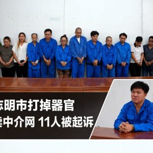 网上找患者、物色缺钱者，越南警方揭非法卖肾中介模式