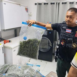 国突袭大型非法大麻加工厂！查获55公斤大麻及大量提取物