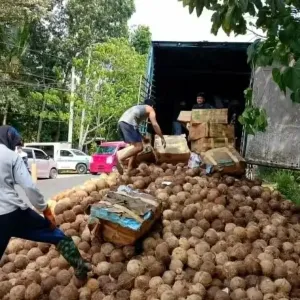 菲律宾椰子货车暗藏走私香烟，1400万比索货物被警方查获