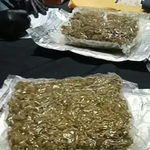 马尼拉机场查获94.6公斤大麻！8件行李涉1.4亿比索
