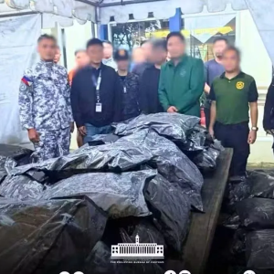 累计198包！苏比克港游艇藏毒总价值升至约3.67亿比索