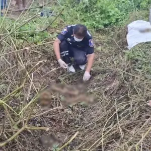 割草割出“人骨”！泰国男子深入密林发现诡异一幕