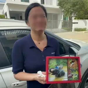 人还在中国，泰国租屋却被闯！中国女子称3000万泰铢财物不见 ...