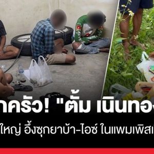 冰毒藏进用过的婴儿尿布！泰国警方突袭榴莲园查获毒品
