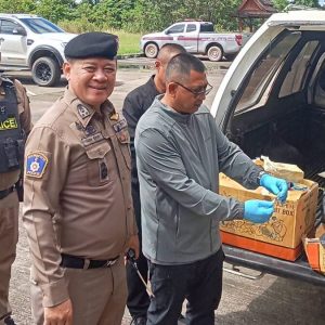 泰国皮卡翻车，15箱水果里竟藏300万粒冰毒