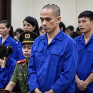 超5.19亿美元转往中国！越南姐弟伪造3270份合同获刑