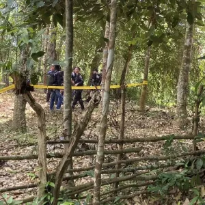 泰国南部再发枪击！巡逻队橡胶园遇袭1人身亡