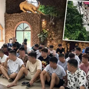 马来西亚端掉度假村诈骗窝点，98人被捕含88名中国籍