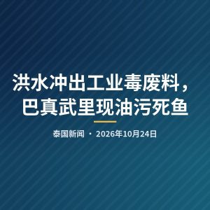 洪水冲出工业毒废料，巴真武里现油污死鱼